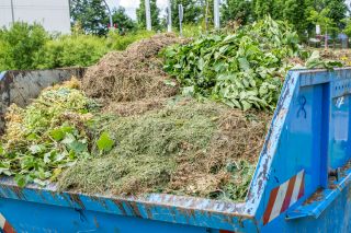Grünschnitt im Container