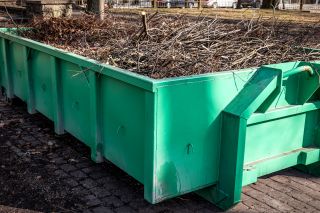 Container mit Baum- und Wurzelschnitt